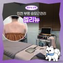 부평구청역에스테틱 추천 엘리뉴 | 묵직한 어깨 통증 날려버린 힐링 승모근관리 솔직후기