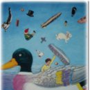 하쿠나마타타 이미지