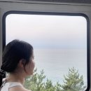 바다추천 5곳 해운대블루라인파크 우도 안목해변 강문해변 무의도 인천바다