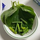 서강해모로(102동 앞) | 광흥창역 횟집 추천 푸른마음횟집김배달 내돈내산 제철모듬회 포장 후기