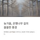 통일전 | 경주 가볼만한곳 단풍나무 통일전 방문 실패 솔직 후기