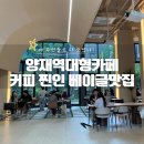 양재역대형카페 내돈내산 토다베이글 후기!
