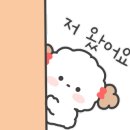 빛가람장성로 이미지