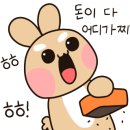 연동바다장어