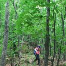 에델바이스 민박 이미지