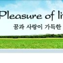 횡성 (주)현대성우리조트 신입및 경력사원모집 9/26일 마감 이미지