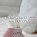 고려리프트 | 사무직 손목 통증 마우스 추천 로지텍 리프트 버티컬 사용 후기