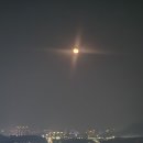 3월7일 끝말잇기/진실이의 '지' 이미지