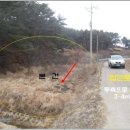 황촌리 Daum카페