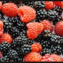 SJ 다이어트 복싱클럽 이미지