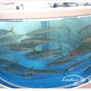 킴스인터내셔날 이미지