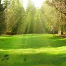 대신공인중개사 이미지