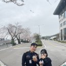 해사분식
