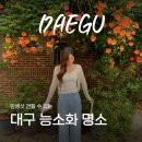 대구 대봉동 능소화 숨은 명소 실시간 방문 후기 포토존