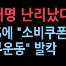 이재명 난리났다 SNS에 &#34;소비쿠폰 거부운동&#34; 발칵 성창경TV﻿ 이미지