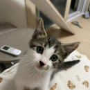 금곡양정행정복지센터 1층 이미지