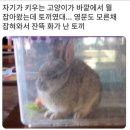 입술 실리콘 제거 시술 이미지