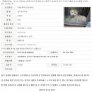 디아크동물종합병원 이미지