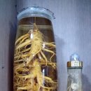 신풍인삼면옥 이미지