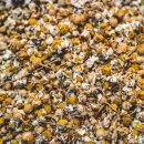 (주)올로 이미지