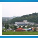 죽능1리 청룡 이미지