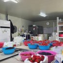 신선한농장 | 주변 선물로 좋은 신선한 유기농 무농약 딸기ㅣ들말농장 직거래, 이웃에게 선물 후기