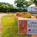 신비유치원 이미지