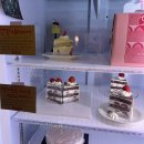 공평로 | 대구 교동 카페 더워커스홀리데이 내돈내산 후기