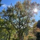 횡성자연휴양림 이미지