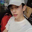 마이동