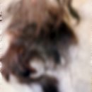 한국맥도날드 유한회사 시청점 | [오사카/일상] 25.7월 한국 덕후여행 기록(뮤지컬 멤피스, 팬텀, 정용화 솔콘)