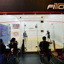 핏-타운 이미지