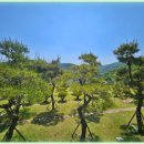 반송목장 이미지