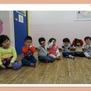 연주 벌꿀