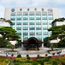 도안동로 이미지