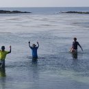 제주 토끼섬 문주란자생지 이미지