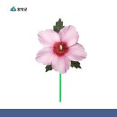 최치원아트