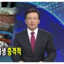 소와돼지 네이버블로그