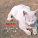 상가넷