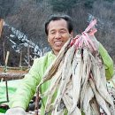 청계농산