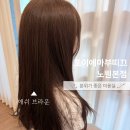 지환헤어 - 부평구 충선로311번길 11-11 | 노원미용실 포이에마부띠끄 노원본점 지환부원장 애쉬브라운 염색 후기