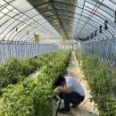 ㈜그린개발 이미지