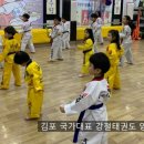 국가대표 강철태권도장 이미지