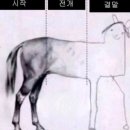 일상수집가 이미지