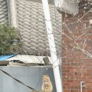 오뉴옥