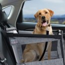 멍냥 펫택시 이미지