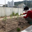 반송1동경로당 이미지