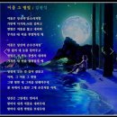 어둠 그 별빛 / 김현식 노래 자유 이미지