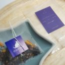 고양이와 함께하는 오렌지 네이버블로그