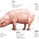 영문축산 이미지